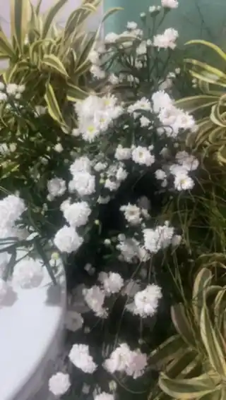 Arranjo de flores brancas usado na decoração de um evento