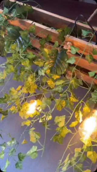 Ambientação com folhagens e luzes preparada para uma celebração